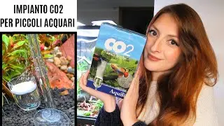 Un IMPIANTO CO2 per PICCOLI ACQUARI? Montiamolo assieme 💦