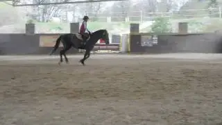 DSCN9625