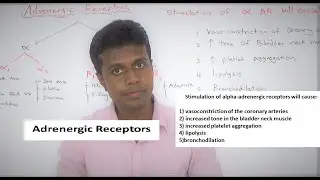 Adrenergic receptors by Dr Dinusha  FRCA mcq
