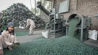 Incredible Process Millions of Broken Glass Bottles Recycled Into Shiny Glass Marbles Balls
