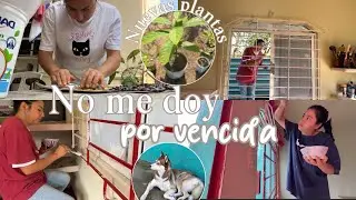 Cada vez más bonito mi hogar | mucho trabajo duro pero ha valido la pena 🤗