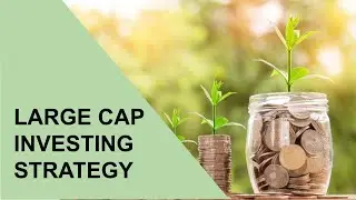 Large Cap Investing Robinhood Portfolio | 