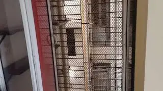 1 Bhk Rent Spring Grove Uno 7208387776