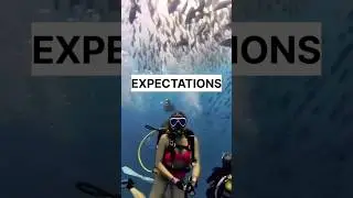 Reality of Scuba diving in Goa #shorts #youtubeshorts #goa #scam In Goa