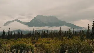Banff Cinematic Travel Video | Sony A7iii