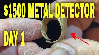 $1500 Metal Detector Finds TREASURE - Is It Worth it?