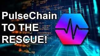 PulseChain QUADRUPLES SENS Research Foundation budget | Longevity Science News