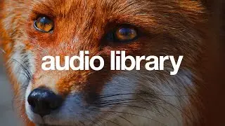 Fresh Up &ndash; tubebackr (No Copyright Music)
