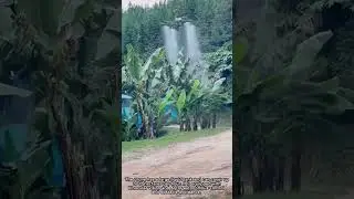 Precision Spraying: An Agricultural Drone in Action