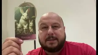 Animal Oracle Reading 13th March. How can we earn more money?
