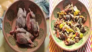 Russian Dove Cooking In Pakistan || Russian Dove || Doves || by ilyasbangash Desi Food