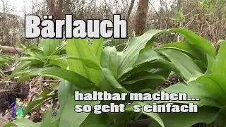 Bärlauch haltbar machen - so geht es einfach (5 Versionen)
