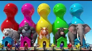 Long Slide Game with Elephant Gorilla Hippopotamus | Funny 3D Animal Game