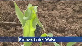 California Farmers Finding More Ways To Conserve Water