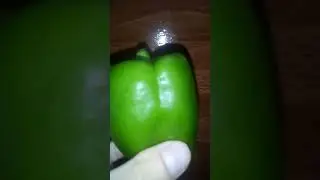 &iquest;Qu&eacute; beneficios tiene el pimiento verde? 🍈🍈🍈🍈🍈🌶️🌶️🌶️🌶️🌶️ #huerto #Verde #flash wow www.@luck.com.ar.