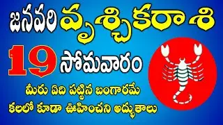 ఏది పట్టిన బంగారమే|Vruchika Rasi Daily Phalalu Telugu | Vruchika Rasi Phalalu January 2026 #scorpio