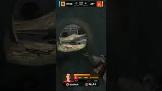 NT Buzz