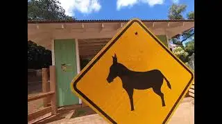 Exploring the Honolulu Zoo - This Zoo is Amazing!