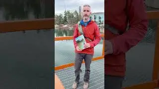Руководство по городской ловле рыбы нахлыстом от Марка Фрайта