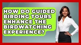 How Do Guided Birding Tours Enhance the Birdwatching Experience? | Bird Watching Diaries