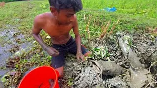 fish hunting with unique method🤯lot of fish in fish secret hole😱little boy catching a bigg catfish😮