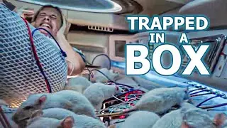 Trapped in a BOX for 12 Years | Oxygen  Ending Explained
