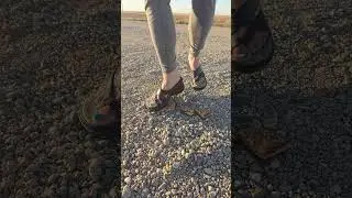 Route 66 sandals food crush #asmrcrush #womensshoes #sandals #foodcrush #Pebbles