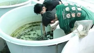 Sinh viên ngành nuôi trồng thủy sản, Trường Đại Học Tiền Giang 2026