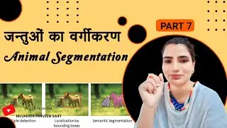 Animal Segmentation | Part 7 | Mujahida Parveen Saifi
