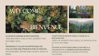 Cluster Planting in Restoration