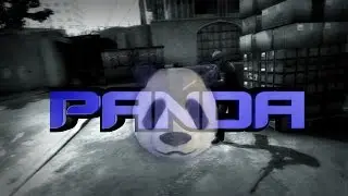 PANDA - CSGO MINITAGE