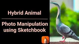 Hybrid Animal | Photo Manipulation in Sketchbook
