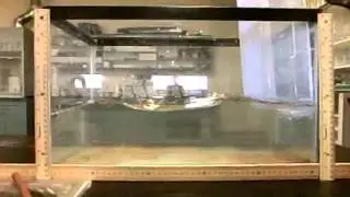 02 6    LargeWaterTank    VariousWaves2    UsingSmallerObject