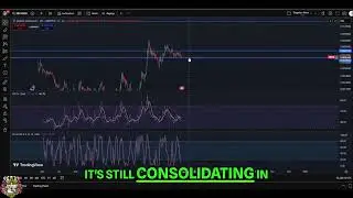 Zebec Network (ZBCN) Update: Crypto Beyond Analysis #shorts