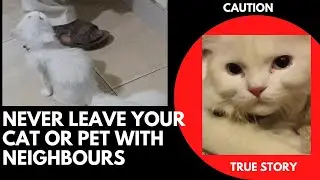 True Story|| Respect Animals #animals #youtubevideo #youtube #trending #viral
