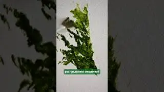 Пишем еловую веточку #ольгабазанова #живопись #творчество #искусство
