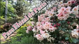 Parc Floral de Paris 2024 - Beautiful Spring - Paris Floral Park.