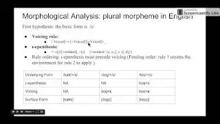 Set 4.3 Allomorphs and Morphological Analysis