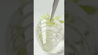 Knife Cuts Ice First&hellip; Then Glass ❄️🔪 | Pure ASMR Facts#ASMR #Satisfying #Shorts