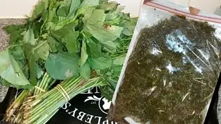 CONSERVATION YA NGAI NGAI