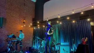 Vegan Shark - Traffic Jam