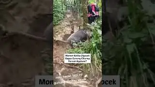 ketemu si bagas di gunung cikuray