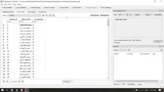How to edit Database DB Browser