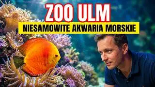 Niesamowite Akwaria Morskie | ZOO Ulm Niemcy