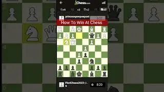 How To Win At Chess 🤔
