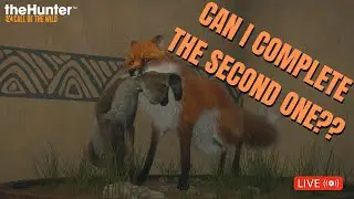 Random Wheel MULTI-MOUNT Challenge (3) In Hunter Call of The Wild