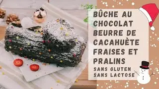 BÛCHE DE NOËL AU CHOCOLAT NOIR BEURRE DE CACAHUÈTE FRAISES PRALINS, SANS GLUTEN SANS LACTOSE