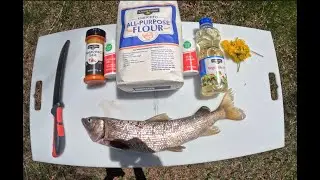 Mountain Whitefish Catch and Cook!