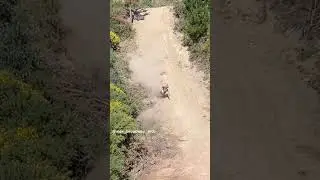These Are The Most Brutal Bike Fails