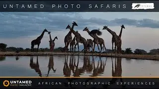 Photographic Hide Safaris- A 25 Minute Time-Laps of Action!
